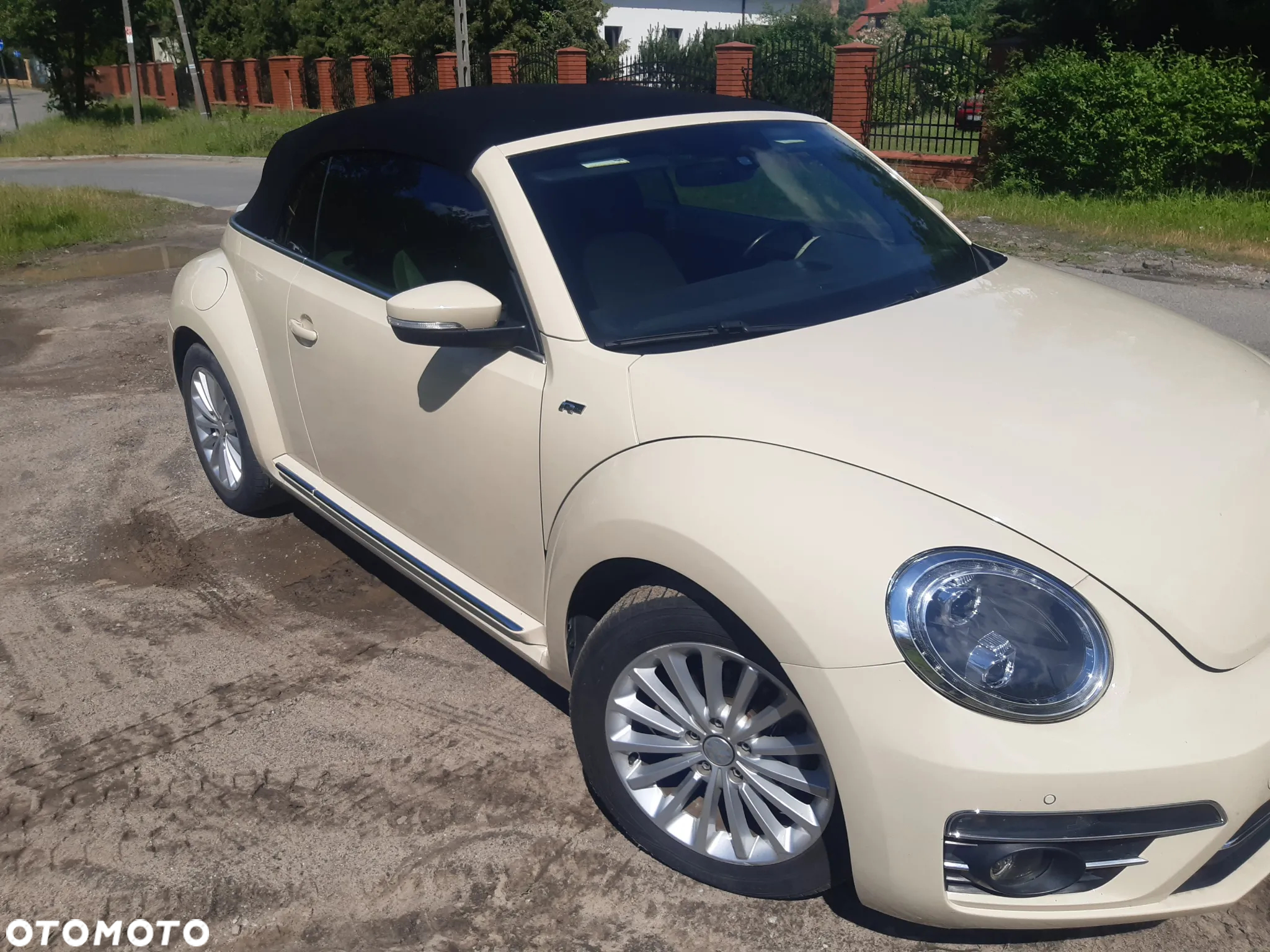 Volkswagen Beetle - 30