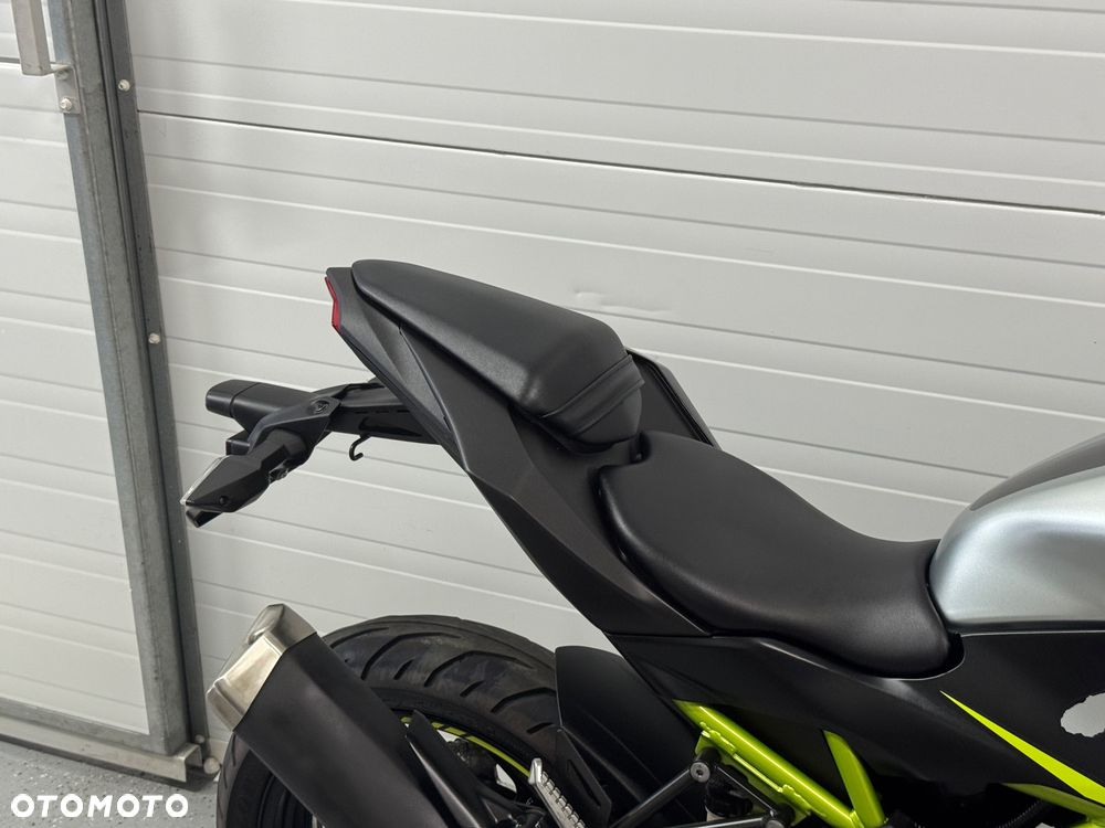 Kawasaki Ninja - 10