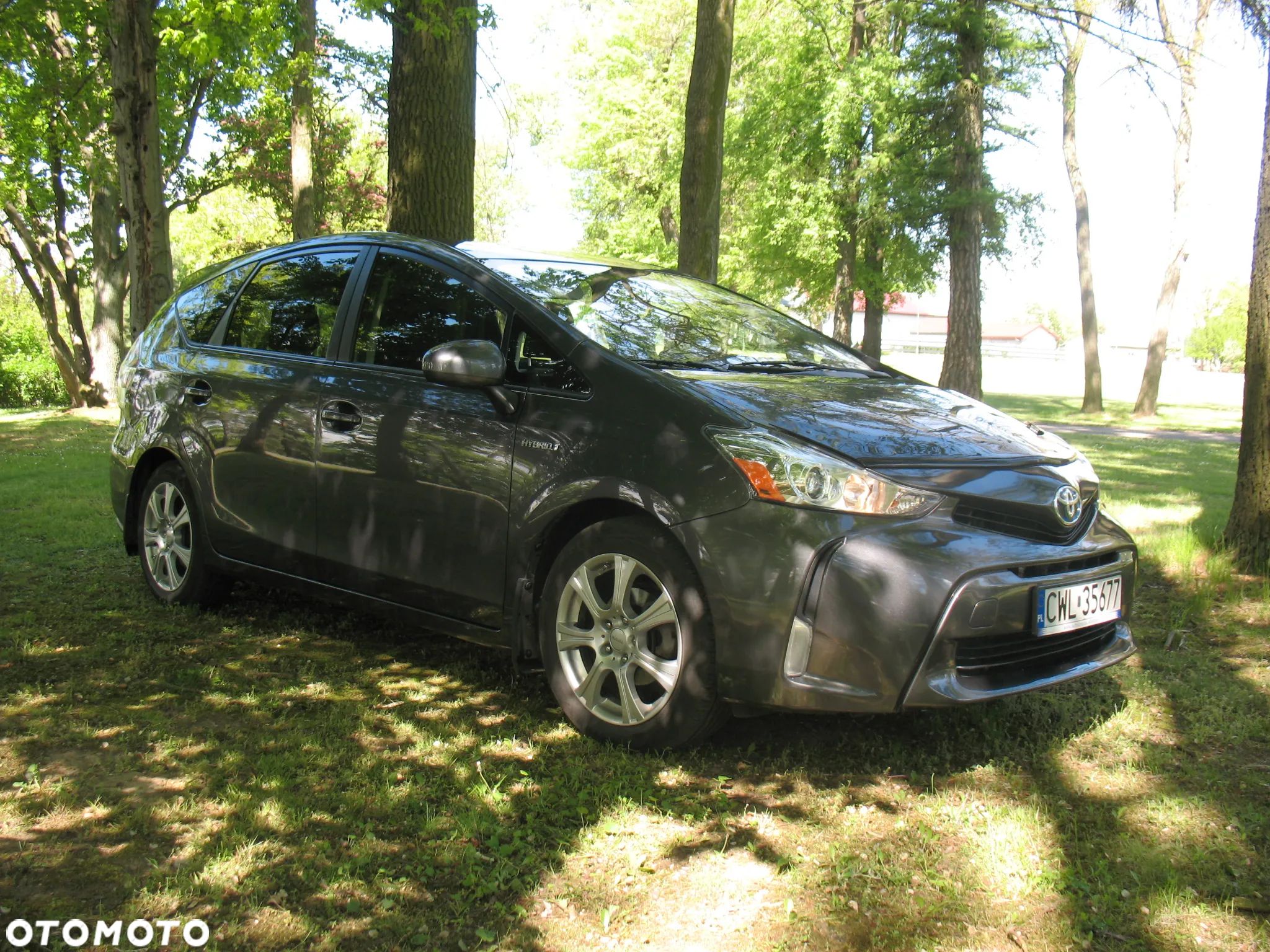 Toyota Prius+ (Hybrid) - 1