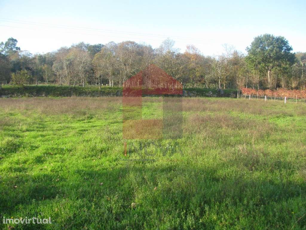 Terreno agrícola em Fiscal, Amares - Grande imagem: 2/12