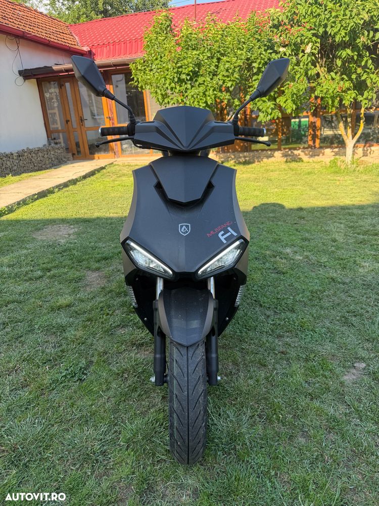 Altul Altul - 1