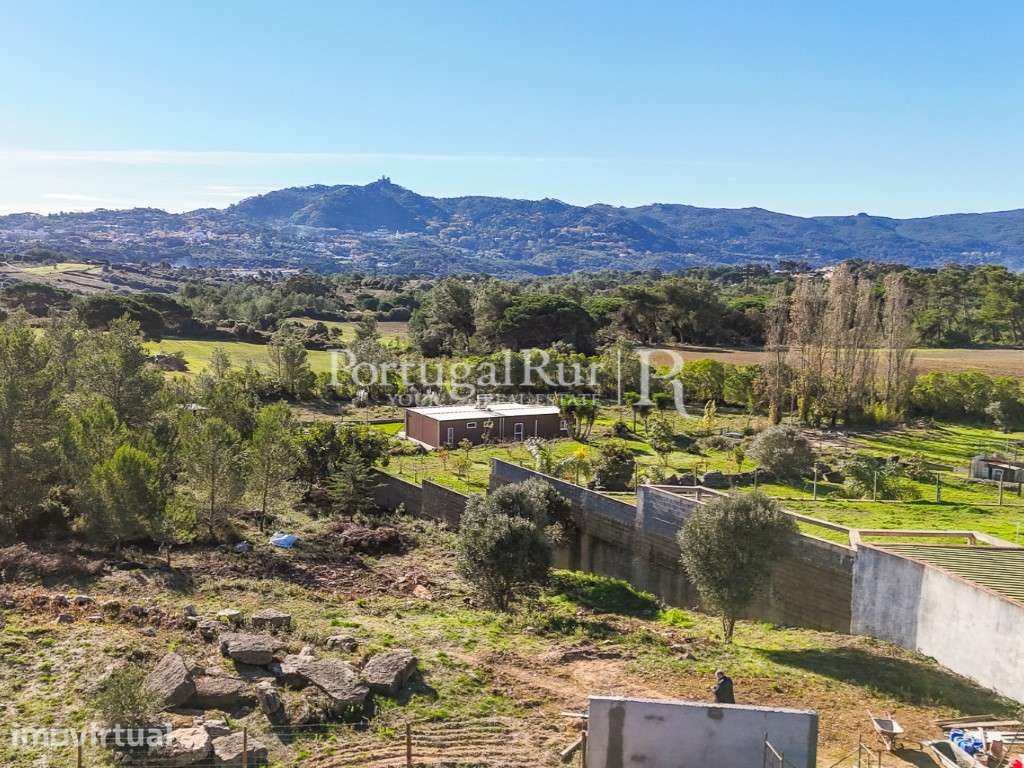 Terreno com 5.500m2 e projecto aprovado para moradia na região de S... - Grande imagem: 2/31