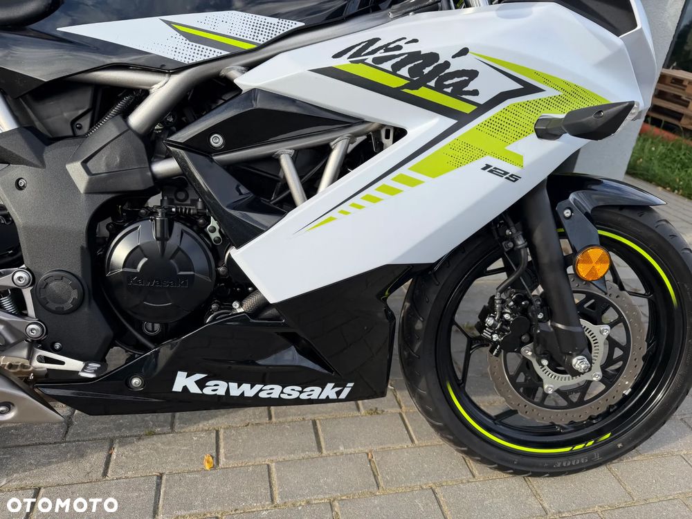 Kawasaki Ninja - 17