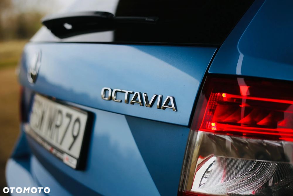 Skoda Octavia Scout 2.0 TDI 4x4 DSG - 7