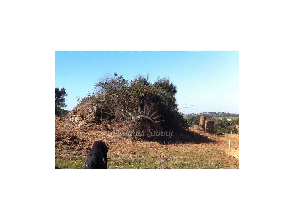 Herdade - Ribeira da Seisseira (Colos / Odemira) - Grande imagem: 5/23