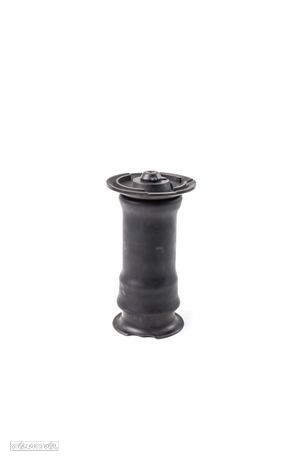 BMW 5 (E39/E60/E61/F10/F11) Amortecedor/Fole Pneumático Traseiro - 1