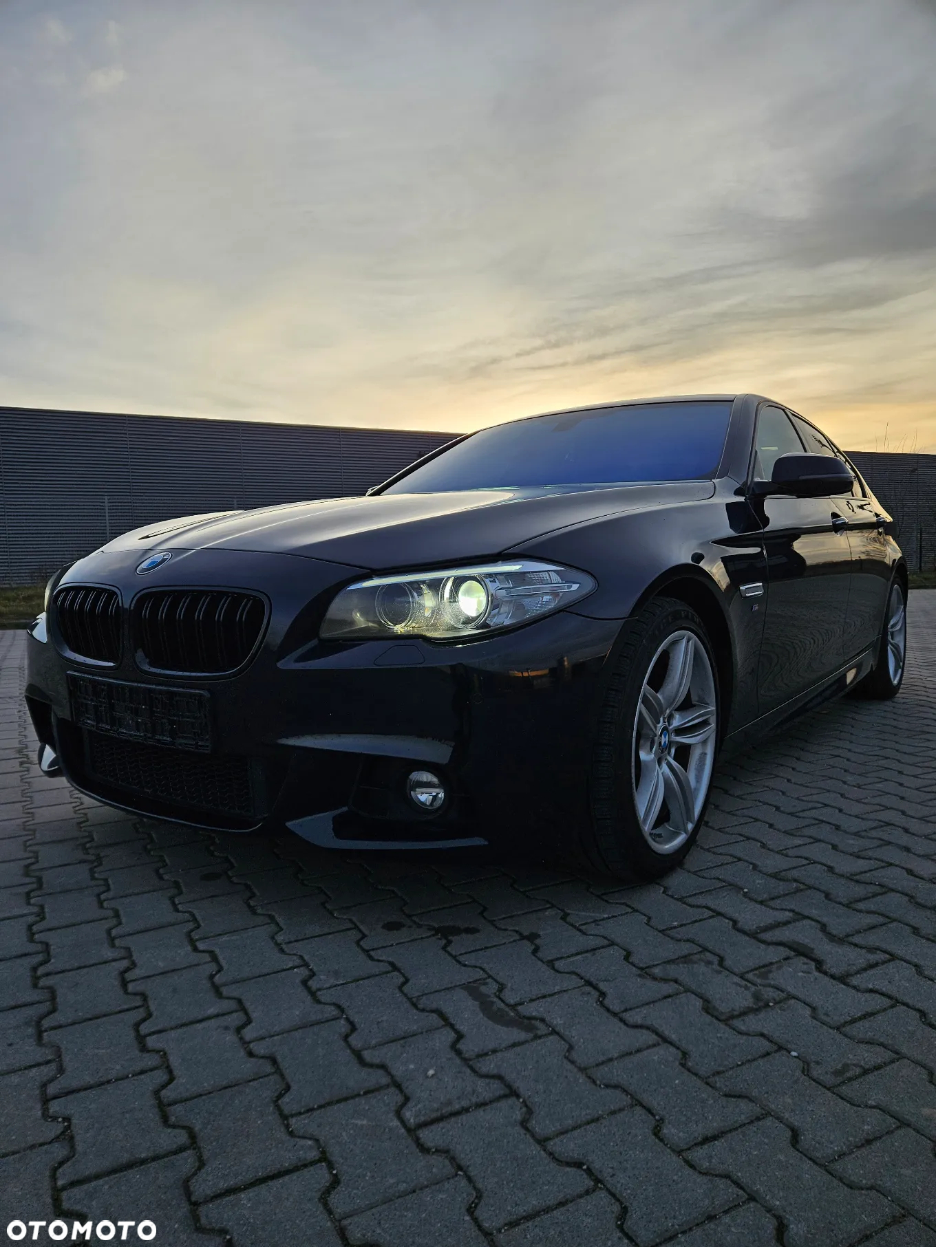 BMW Seria 5 520i Sport-Aut - 15