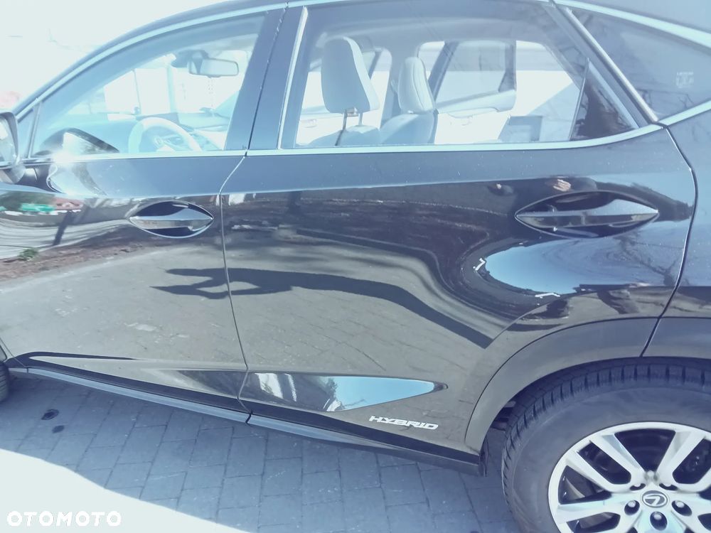 Lexus NX - 16