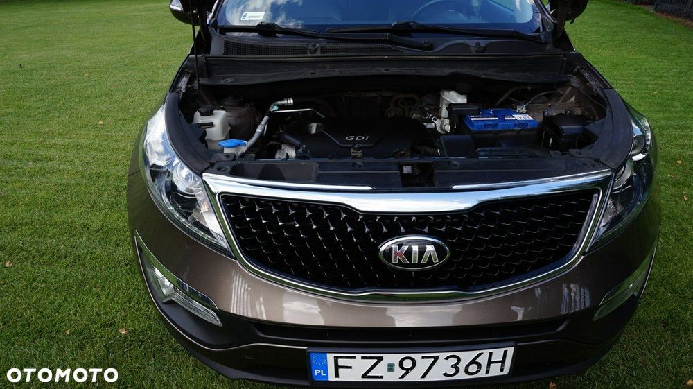 Kia Sportage - 13