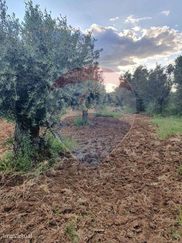 Terreno  para venda - Grande imagem: 2/8