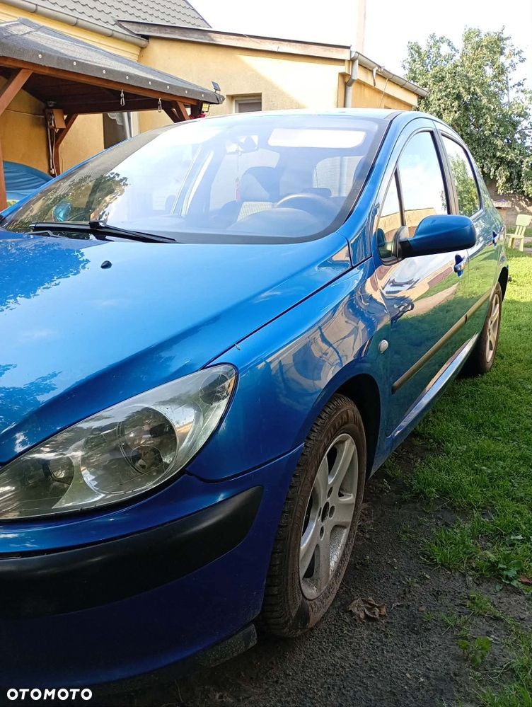 Peugeot 307 - 3