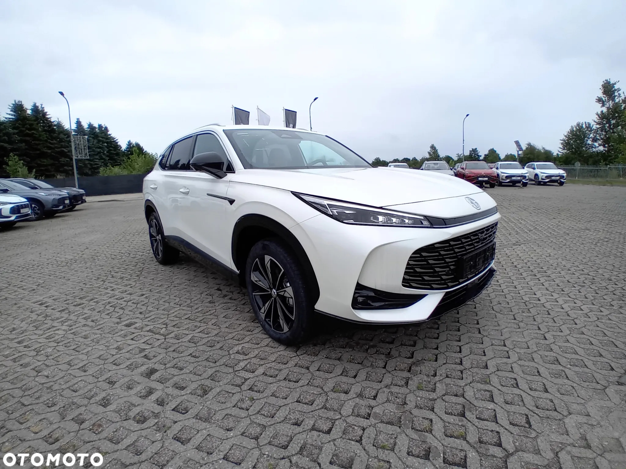 MG HS 1.5 T-GDI Excite DCT - 6