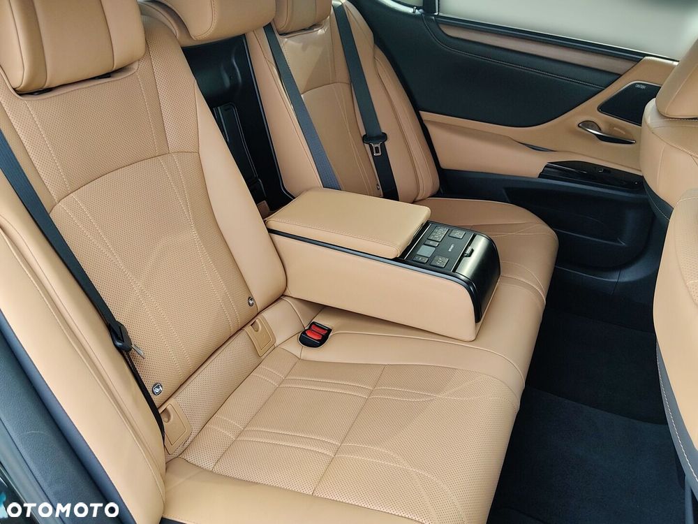 Lexus ES 300h Omotenashi - 14