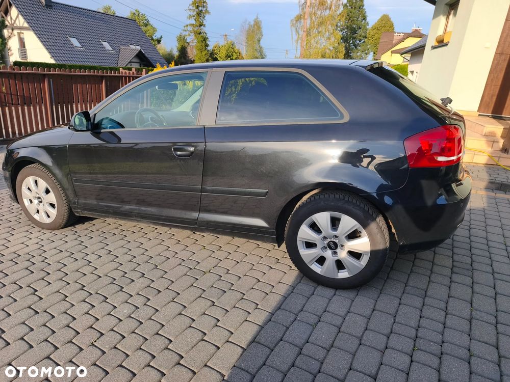 Audi A3 3-drzwiowe 1.6 Limited Edition - 14