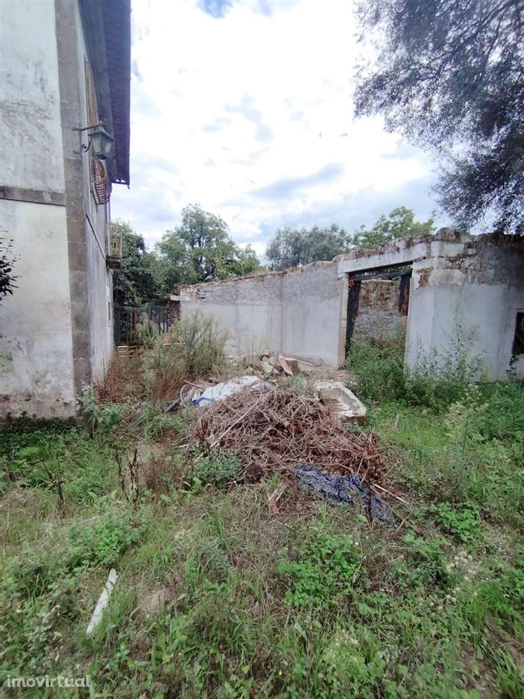 🏡 Quinta Histórica de 1937 com 8.000 m² – Palmeira, Braga - Grande imagem: 5/18