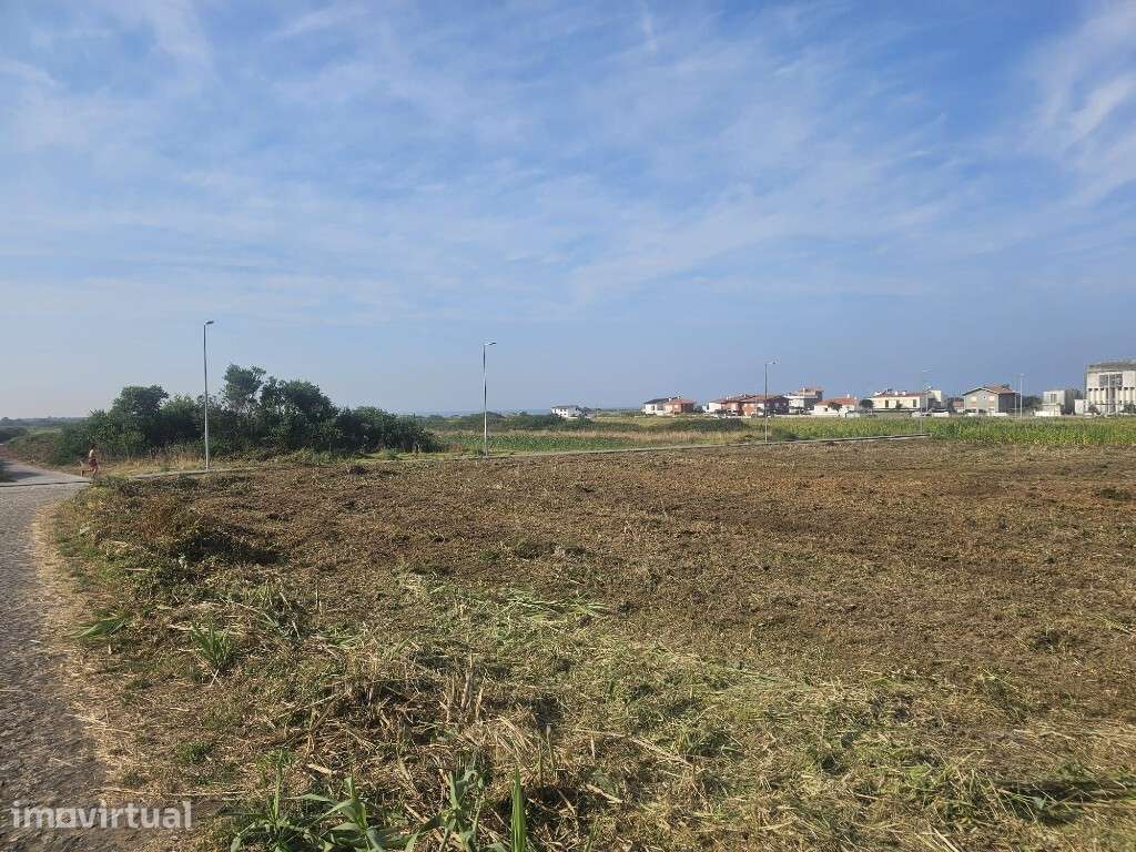 Terreno Agrícola - Carreço - Grande imagem: 2/11
