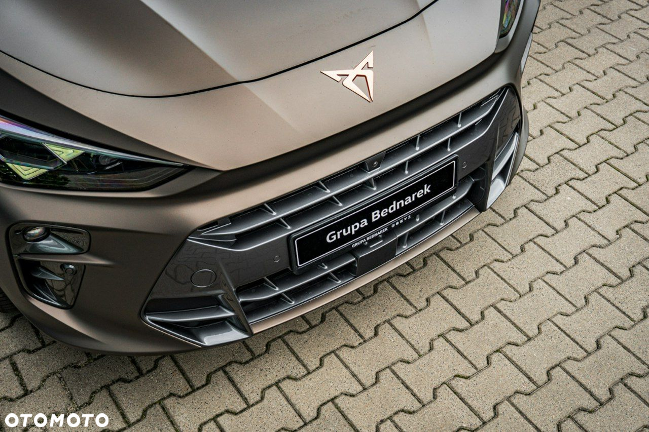 Cupra Terramar - 12