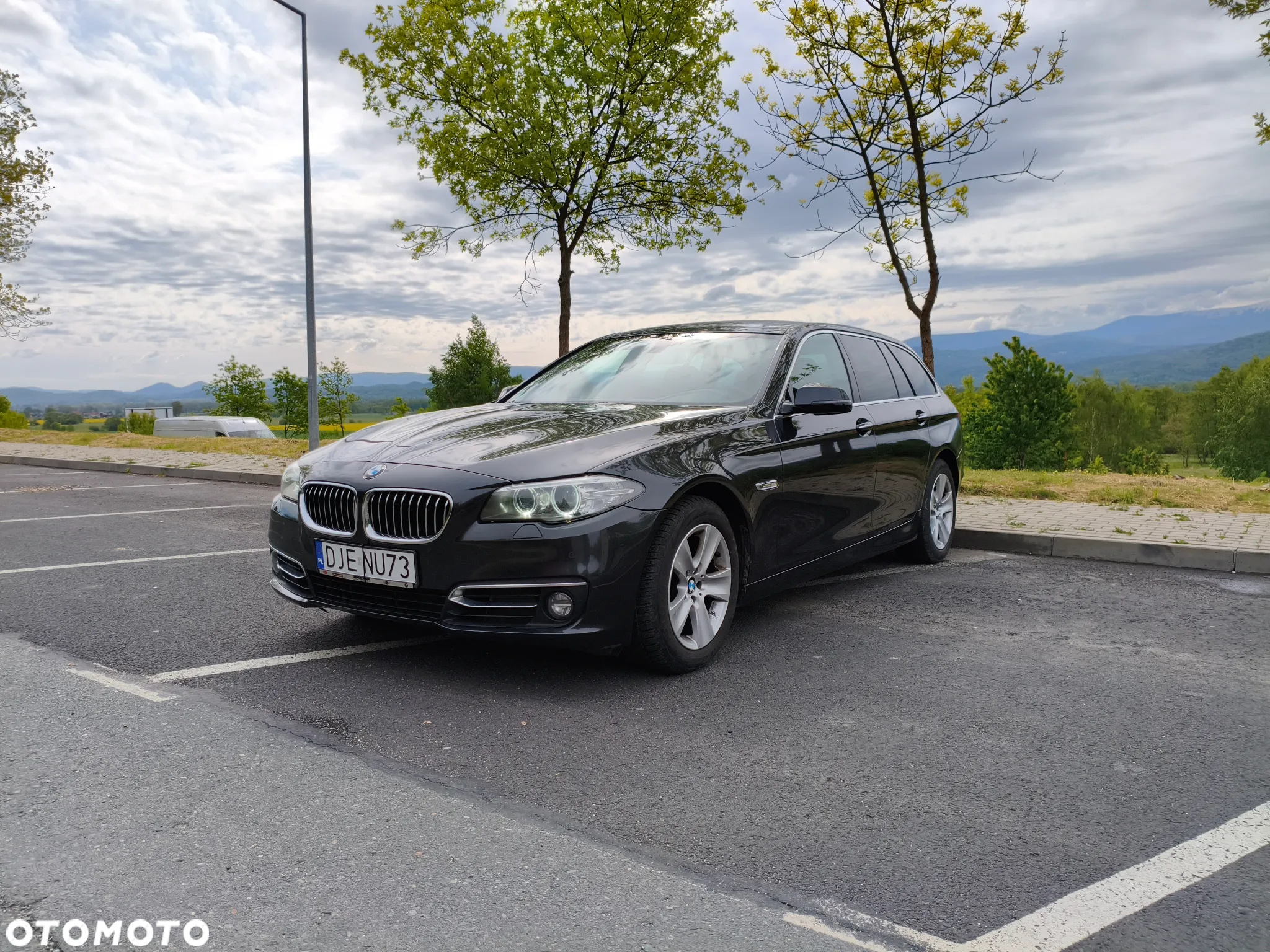 BMW Seria 5 520d Luxury Line - 2