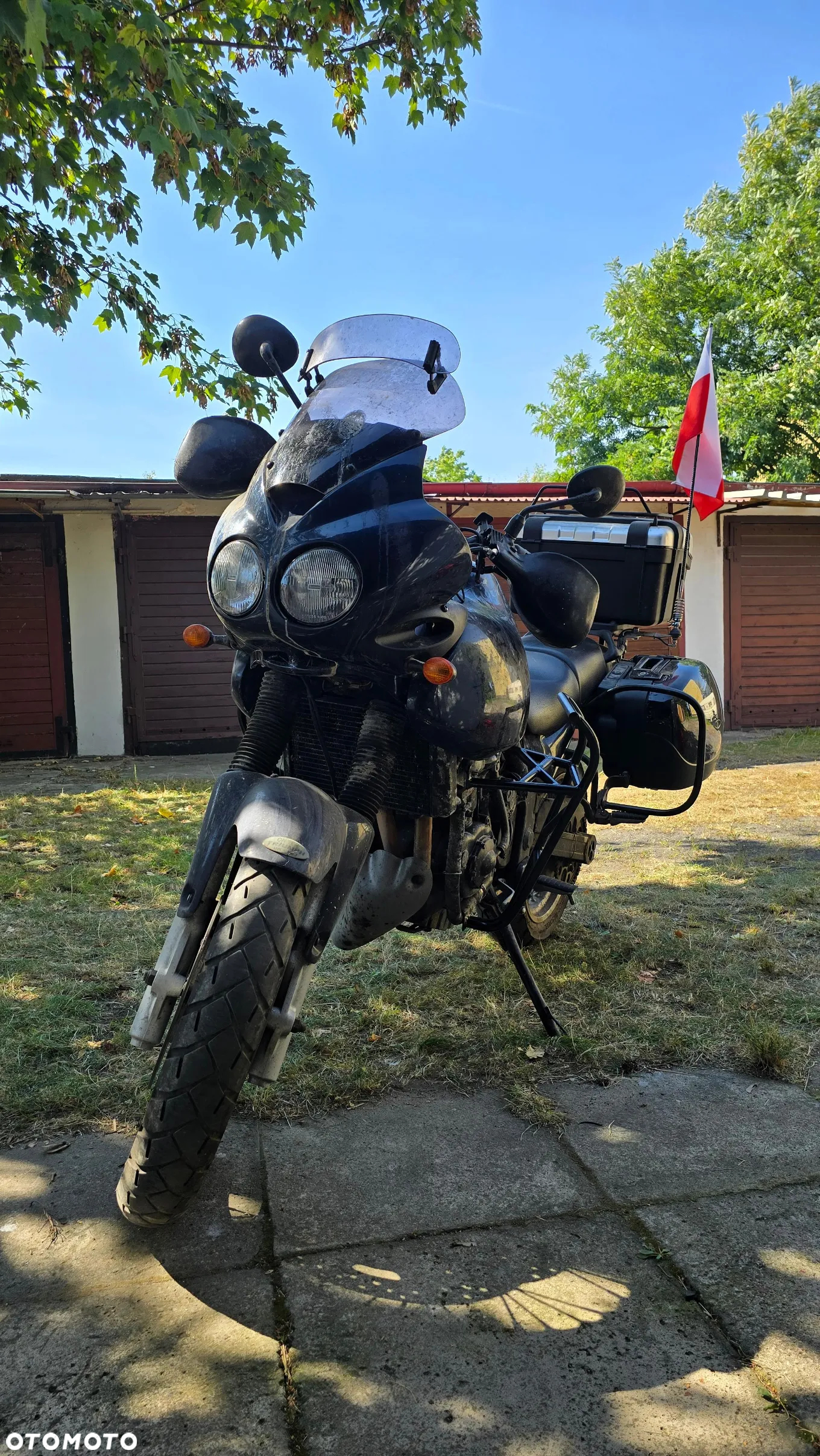 Triumph Tiger - 21