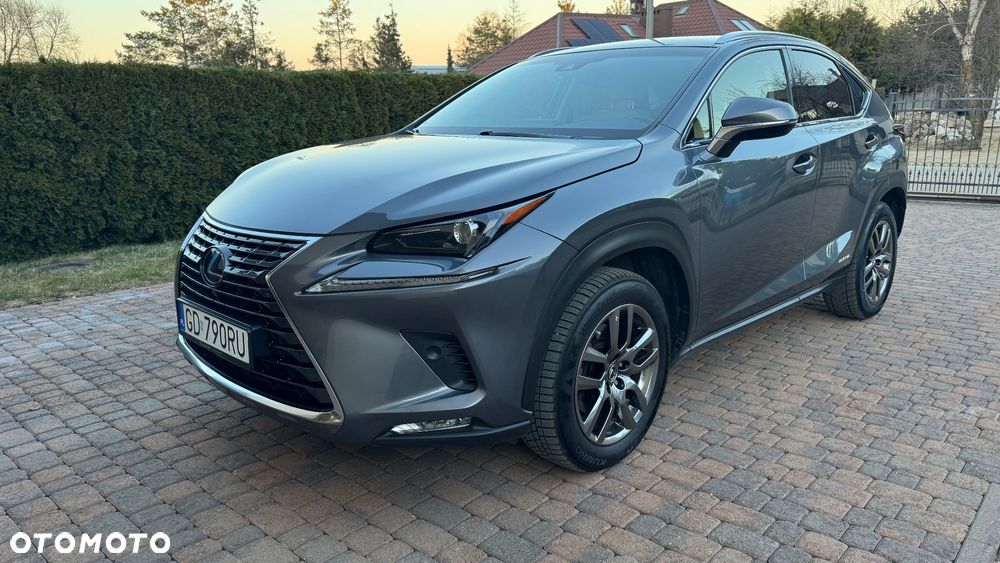 Lexus Nx 2018 photo 5