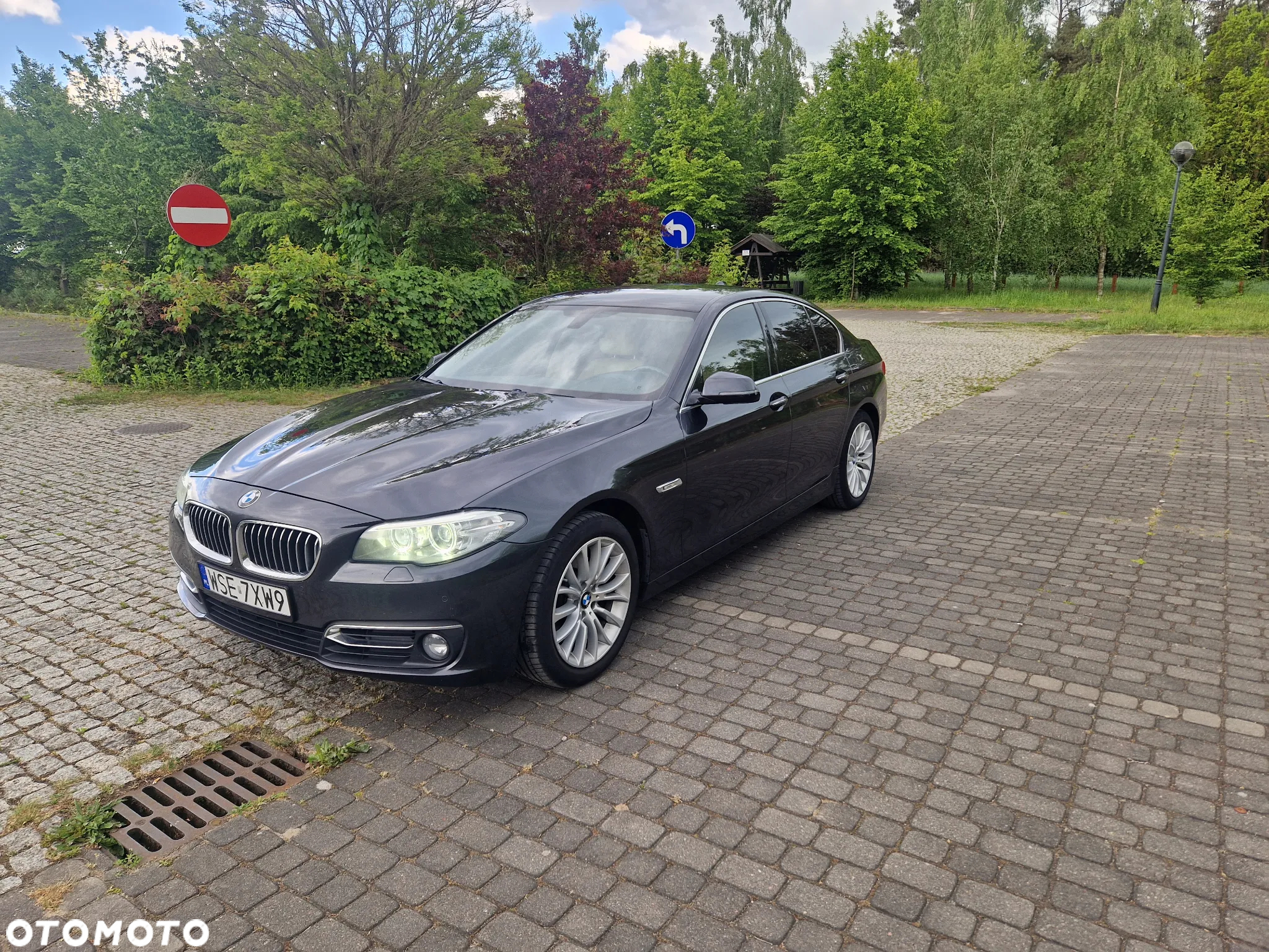 BMW Seria 5 520d Luxury Line sport - 6