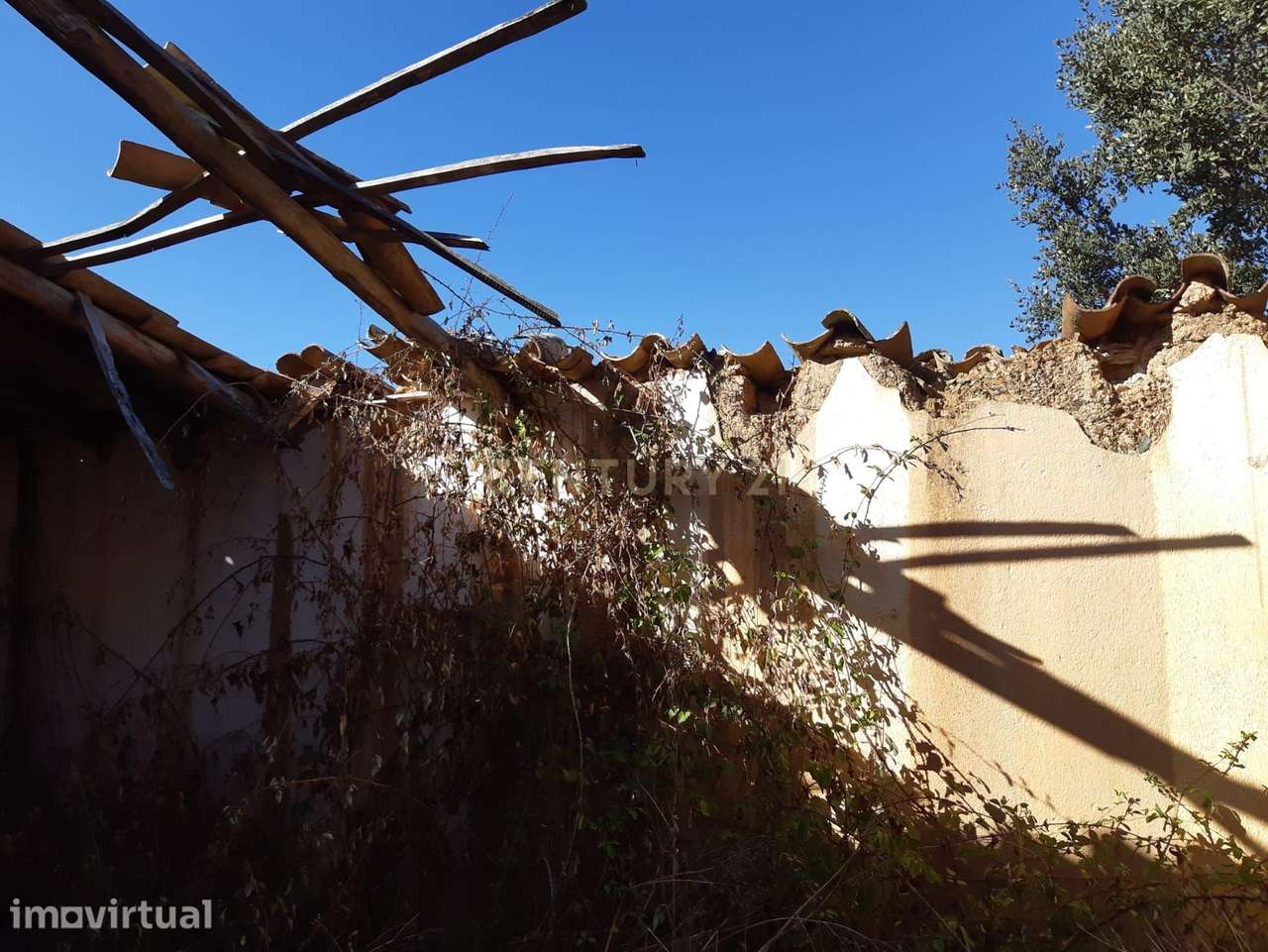 TERRENO MISTO | 14HA COM SOBREIROS | SÃO BARNABÉ-ALMODÔVAR - Grande imagem: 4/13