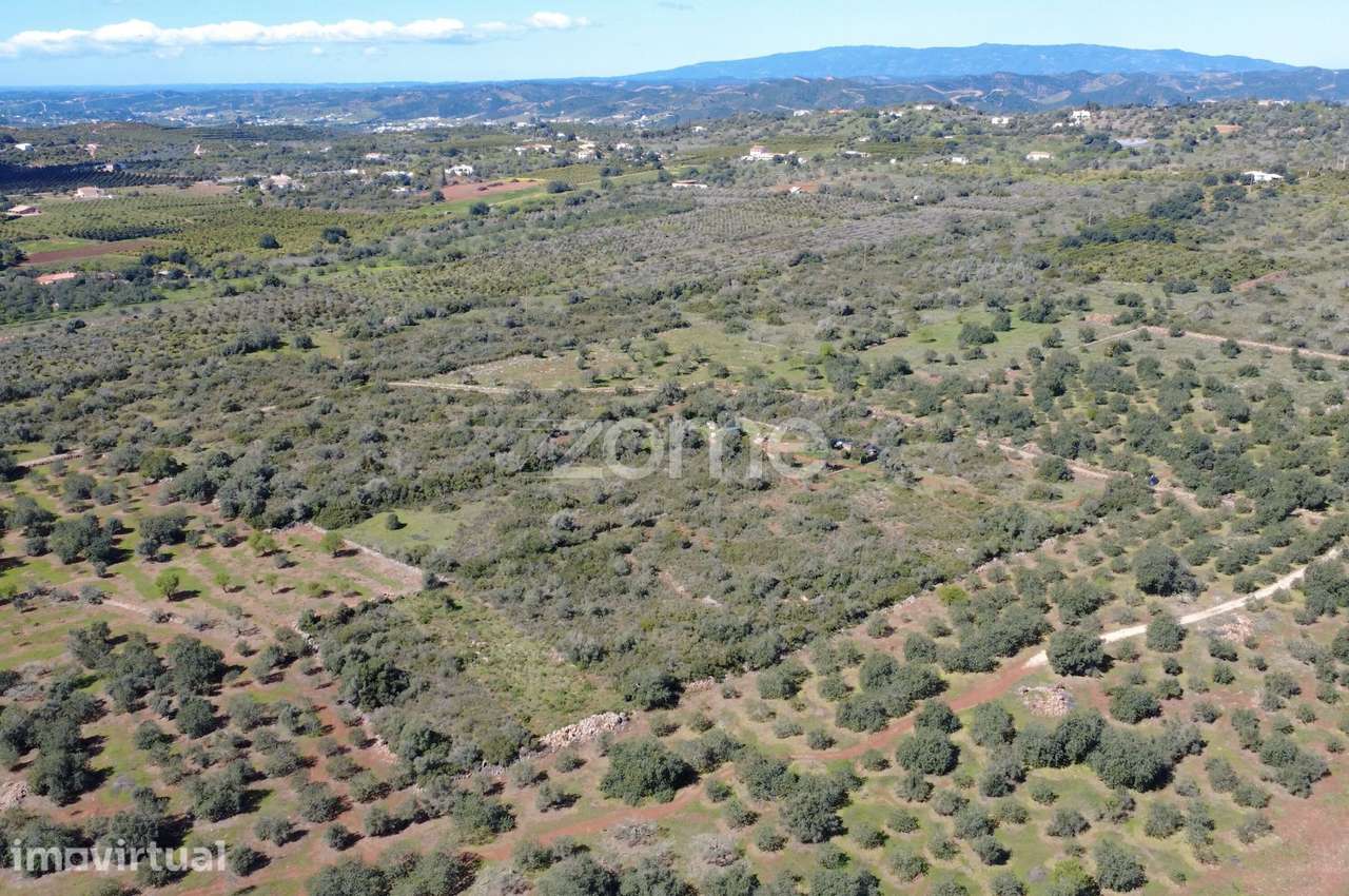 Terreno Rústico com 2.820 m² na zona da Franqueira - Grande imagem: 5/15