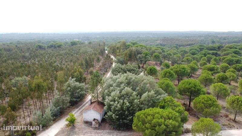 Herdade com 38 Hectares - Grande imagem: 2/12
