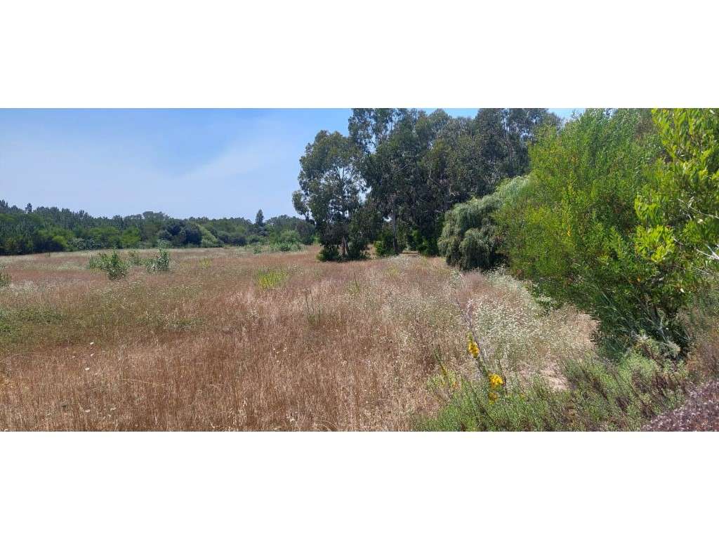 Terreno Rústico para Venda no Rogil, Aljezur - Grande imagem: 2/7