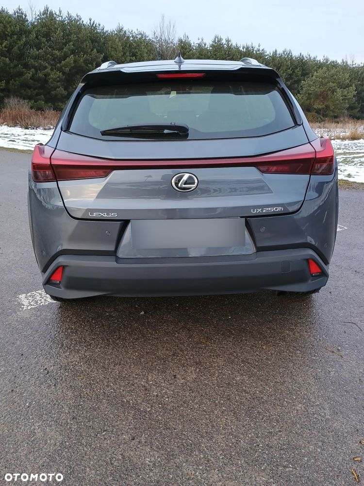 Lexus UX 250h GPF Business Edition 2WD - 11