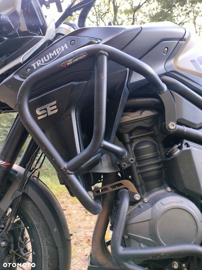 Triumph Tiger - 16