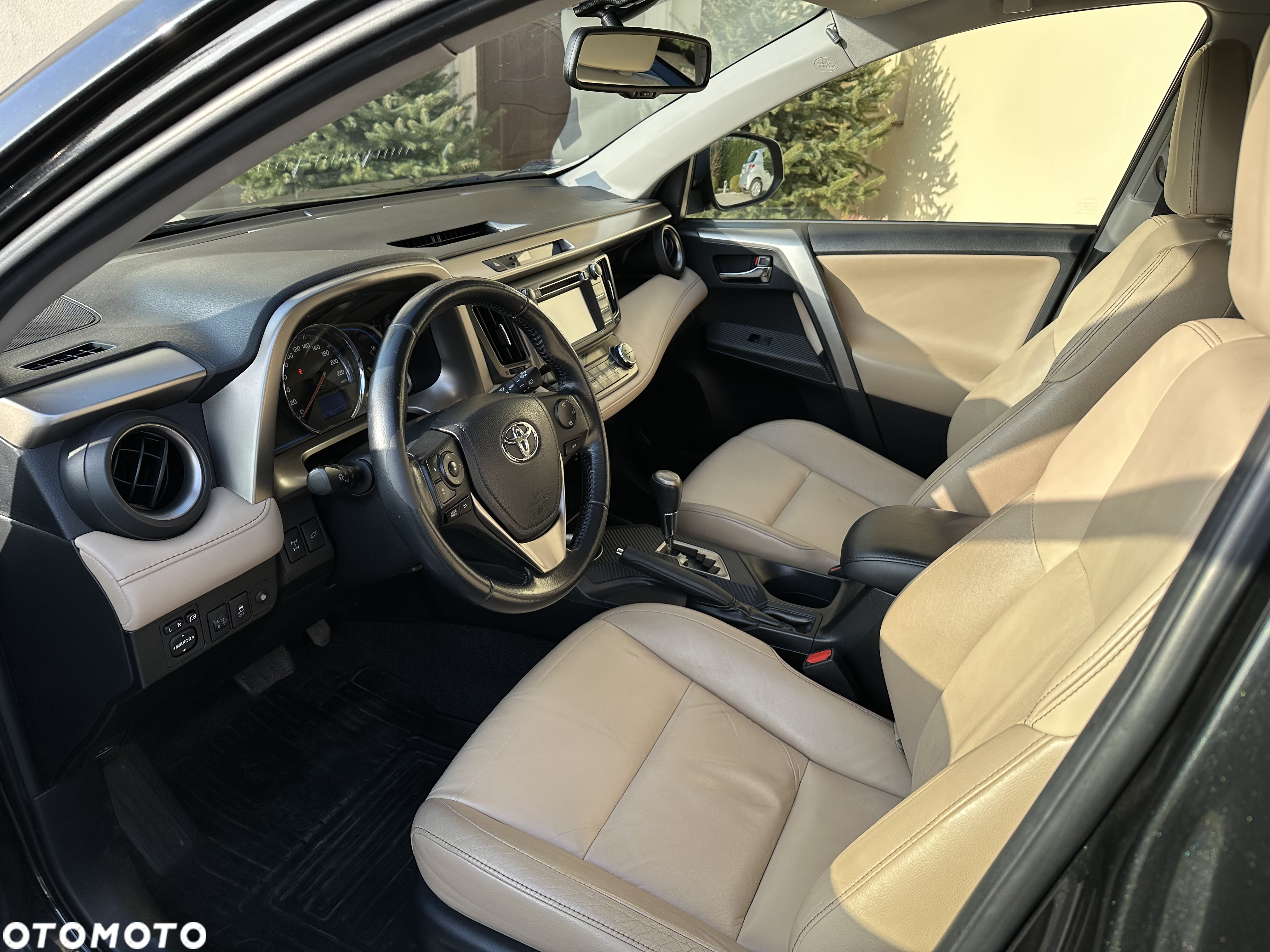 Toyota RAV4 2.0 Prestige MS EU6 - 9