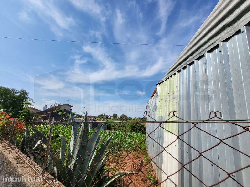 Terreno para construção de moradia - São João de Loure - Grande imagem: 4/4