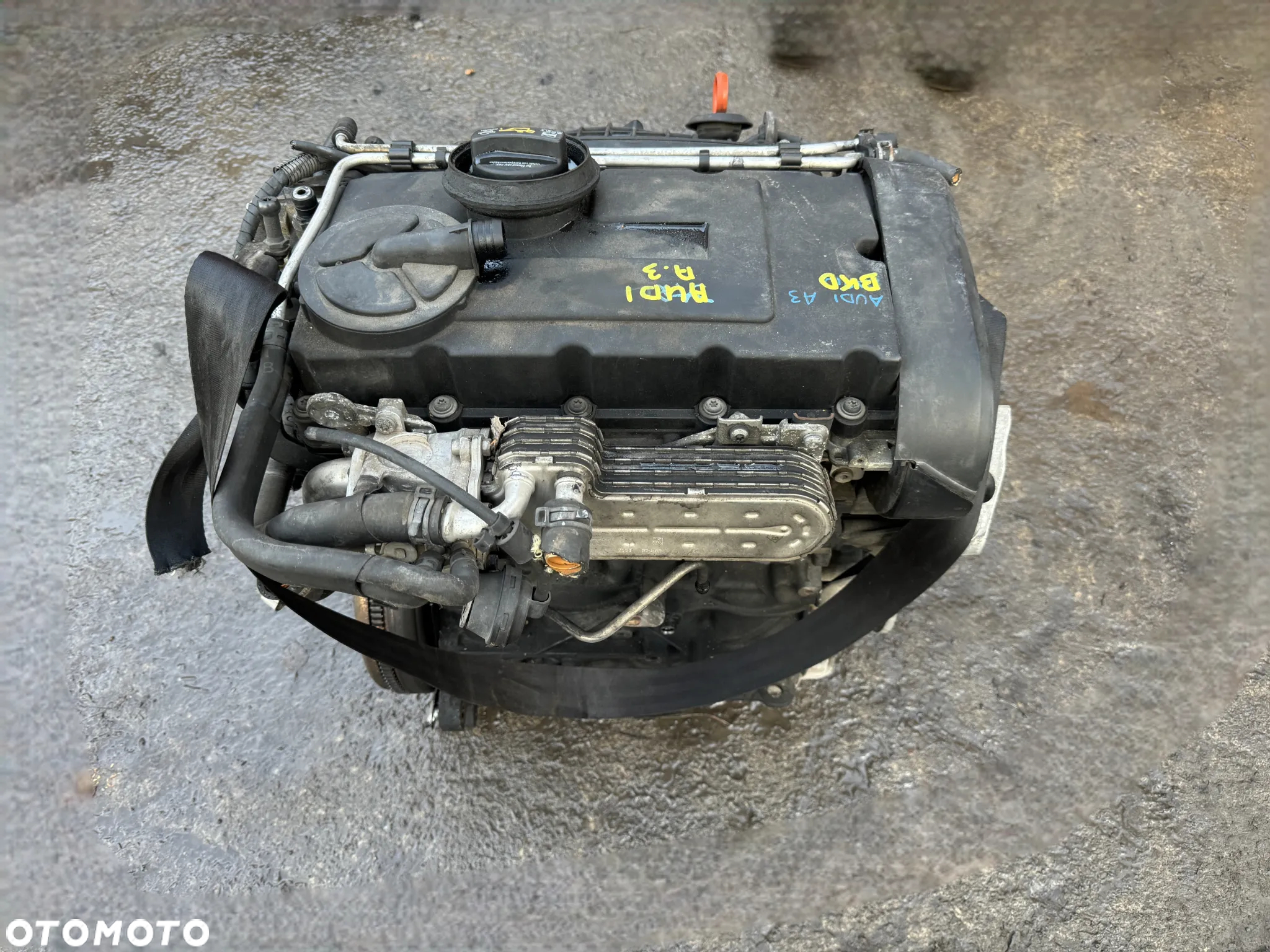 Silnik BKD 2.0 TDI Audi Volkswagen Skoda OE - 2