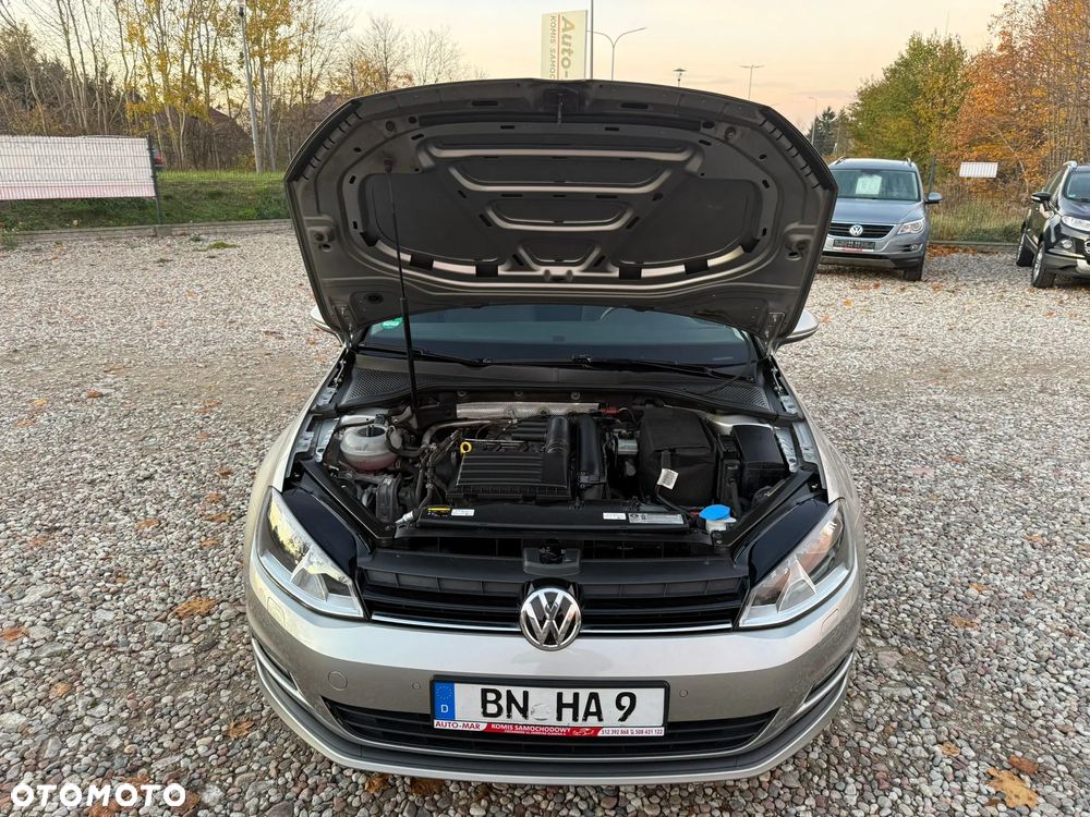 Volkswagen Golf - 21