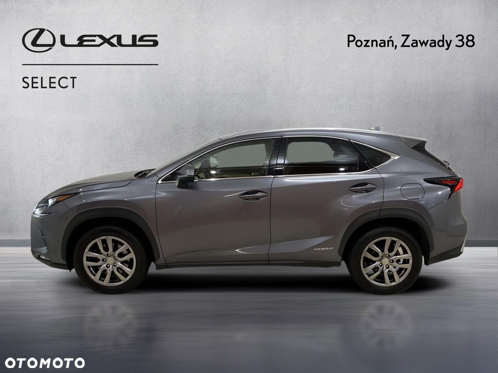 Lexus NX 300h Comfort AWD - 7