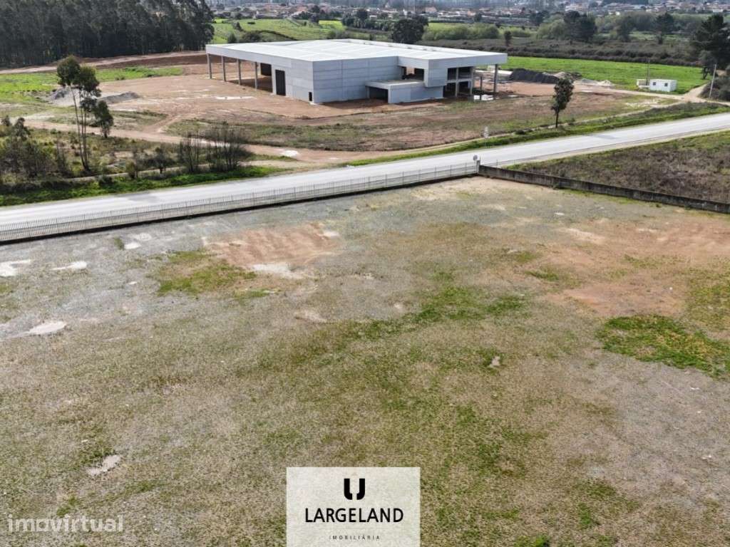 Terreno de 20.000m2 na Zona Industrial de Albergaria-a-Velha - Grande imagem: 3/9