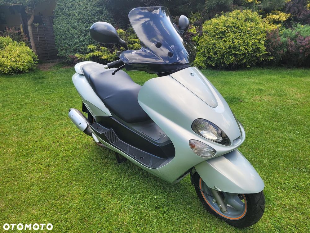 Yamaha Majesty - 19