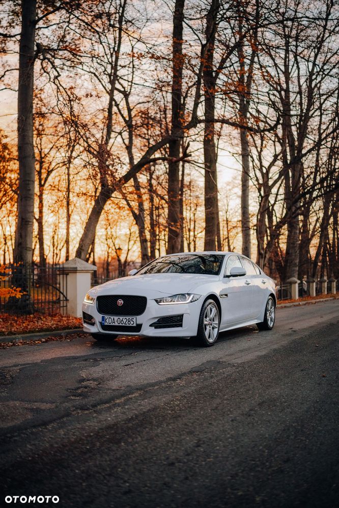 Jaguar XE 2.0 D AWD R-Sport - 2