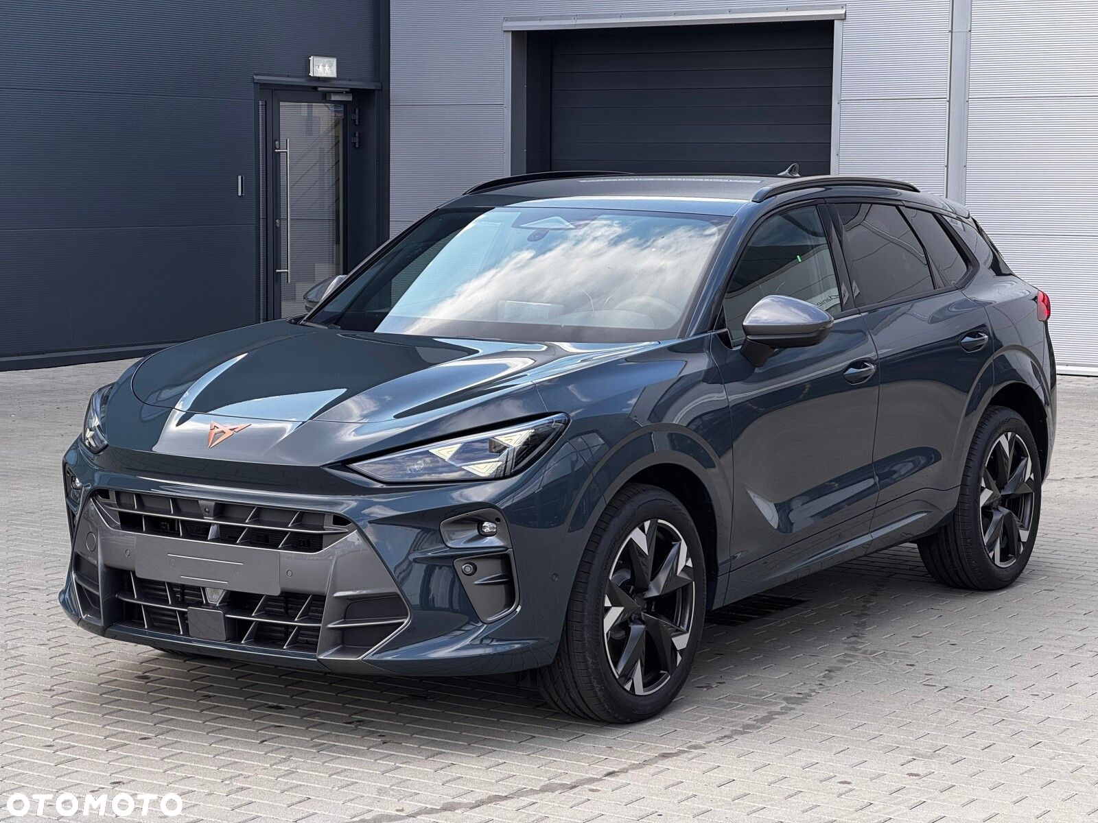 Cupra Terramar 2.0 TSI 4Drive DSG - 3