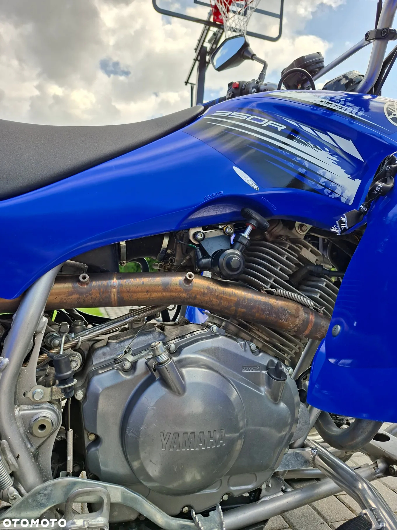 Yamaha Raptor - 7