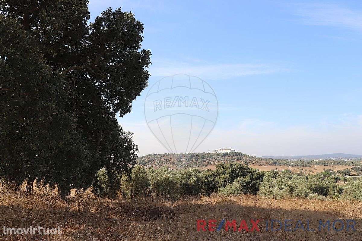 Quinta  para venda - Grande imagem: 4/9