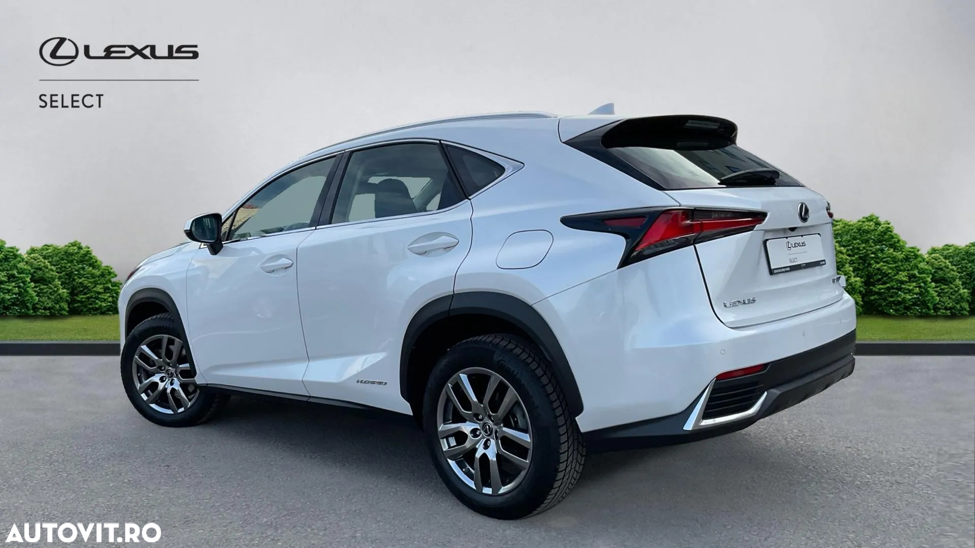 Lexus Seria NX 300h AWD Executive Plus - 4