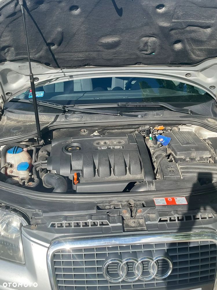 Audi A3 3-drzwiowe 1.9 TDIe DPF - 28
