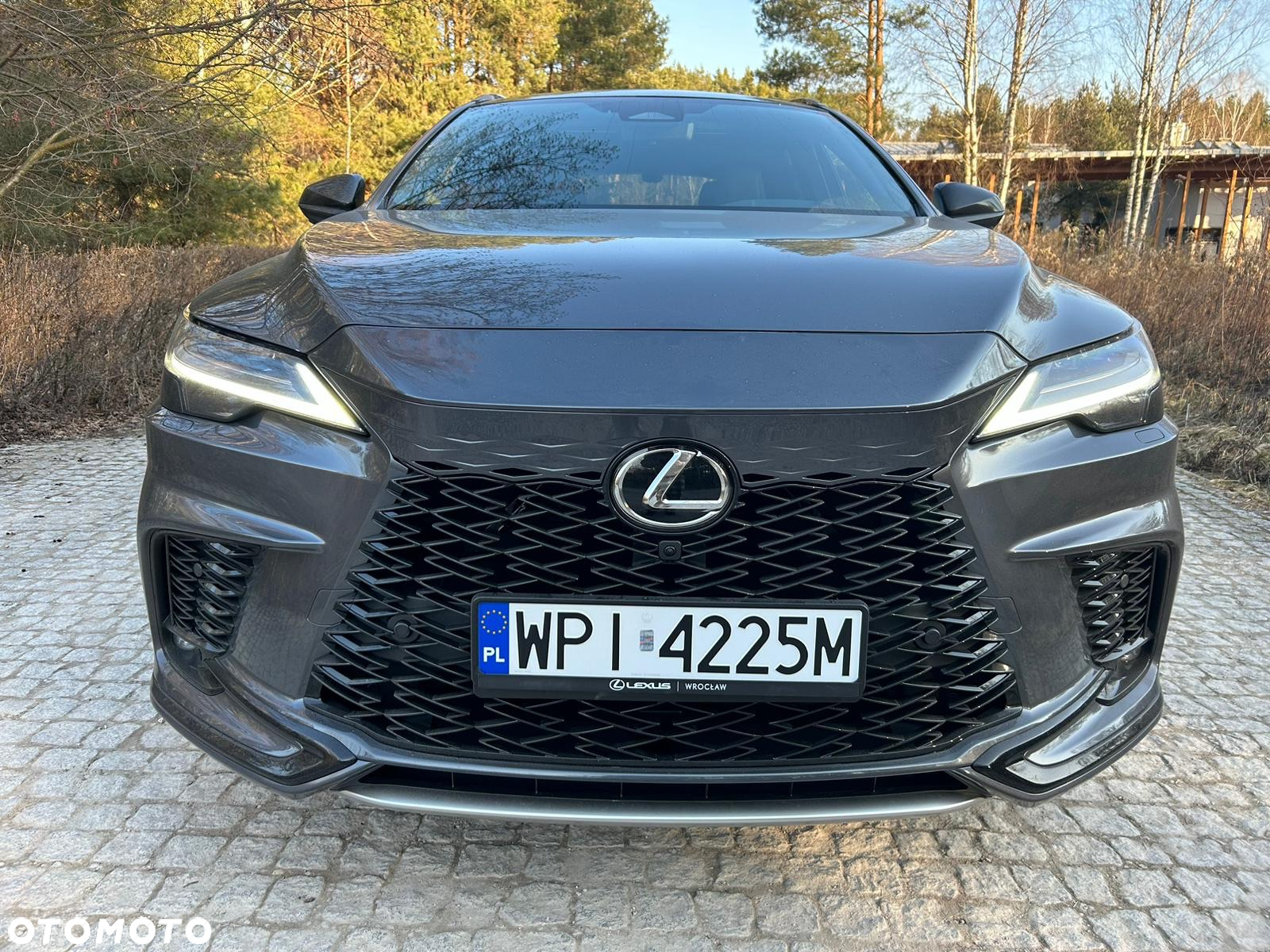Lexus RX 500h F Sport - 4