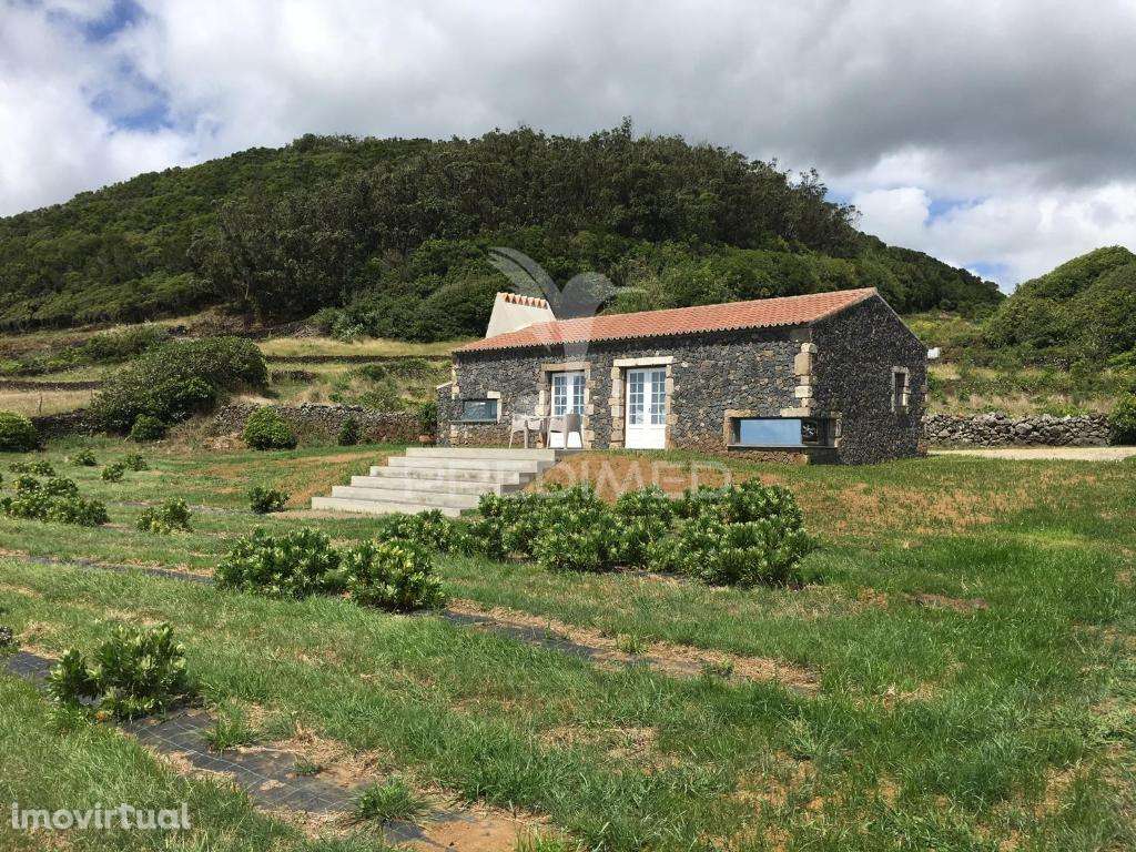 Quinta de Agroturismo – Natureza, Tradição e Romantismo - Grande imagem: 2/37