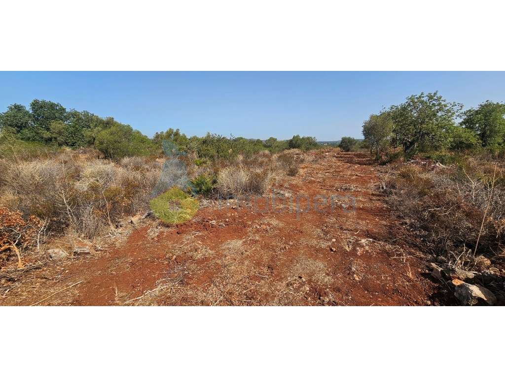 Terreno fértil em zona rural, para agricultura, projeto florestal, ... - Grande imagem: 3/6