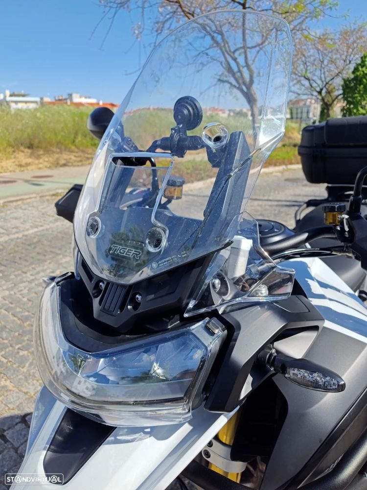 Triumph Tiger Rally Pro - 17
