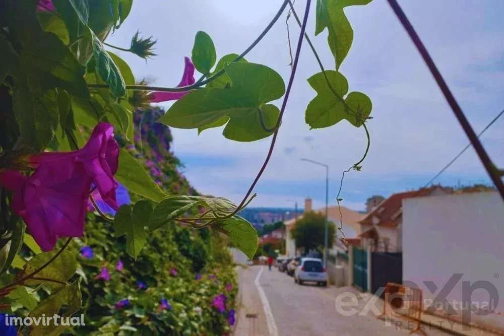 Prédio para reconstruir em Torres Novas - Grande imagem: 2/23