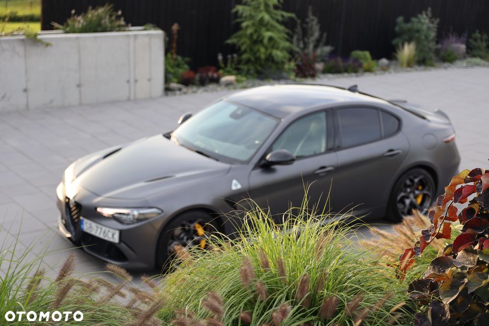 Alfa Romeo Giulia 2.9 Bi Turbo V6 Quadrifoglio - 6